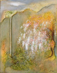 White Wisteria, 2001
